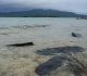 one dead more than 30 missing after vanuatu ferry sinks pm s office says