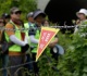 three south korean officers wounded in border explosion