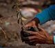 restoring nature is key to a more resilient future