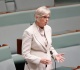 australian mp loses both legs in vehicle attack as suspect appears in court