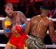 youtube star jake paul returns to boxing after joshua loss for dubai fight