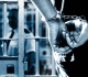 voices it is time to release prisoners trapped by inhuman endless jail terms