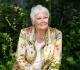 judi dench 91 shares heartbreaking update as vision loss changes her life