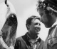 1975 horror classic ranked among best movies to watch on the fourth of july