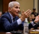 anthony fauci s own diary proves what a despicable villain he truly is