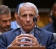 anthony fauci s fifth amendment mockery demands the senate s contempt