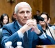 fauci pleads the fifth letters to the editor july 31 2026