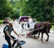 mamdani and menin s deal to kill central park carriage trade is all about privileged prejudice