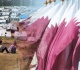 وساطة قطرية غير معلنة لتسريع ملف النزوح السوري