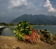 photos kashmir s dal lake faces environmental and climate challenges