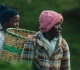 the filmmaker taking on kenya s colonised tea plantations