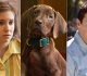 20 most exciting new and returning tv shows of 2027