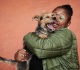 pet insurance vs pet emergency funds which makes more financial sense