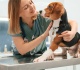 pet insurance vs vet payment plans which helps more with unexpected bills