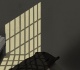death silence and survival inside new jersey state prison