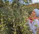 the muslims finding belonging in southern spain