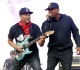 90s music icons join forces to back harvard s resistance and bruce springsteen