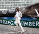 voices no more grandstanding deforestation pledges will go up in flames if we ignore inequality