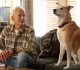 ncis origins showrunner breaks down mark harmon s return and that gibbs lala kiss exclusive