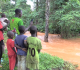 before the land sustained us who benefits from guinea s bauxite wealth