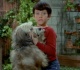 the tragic real life fate of the brady bunch s dog tiger