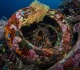 in 1972 florida fishermen sank 2 million old tires off fort lauderdale to build a reef it damaged the real reefs instead and by 2009 only 73 000 had been recovered