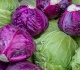 12 types of cabbage and how to use them beyond coleslaw
