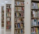 1856 classic novel was just crowned the greatest debut book ever written