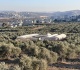 palestinian farmers rebuild what israeli settlers destroy in west bank