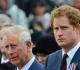 king charles echoes son prince harry s sentiment during speech to congress
