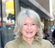 martha stewart s gorgeous antique inspired jade l is a high end lighting find for less