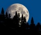 4 zodiac signs step into power under july s capricorn full moon