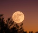 4 zodiac signs manifest luck under june s sagittarius full moon