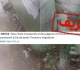 في سبتة يأكلون القطط صور مزيفة وإشاعة رائجة