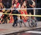 dogs aren t just man s best friend nypd s k9 unit helps keep nyc safe