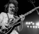 70s folk rock legend returns to stage and joins willie nelson after canceling tour