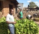 we need our bananas back traders left in limbo amid malawi tanzania spat