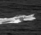 us strike on alleged drug boat in pacific kills one