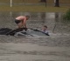australian tv reporter rescues man from sinking car