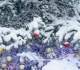 noaa map reveals where a white christmas is most likely in the u s