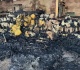 yemen gov t forces commence major combat operation against houthis