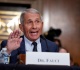 miranda devine anthony fauci was the big head of covid response