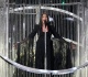 voices for eurovision s sake let s keep politics out of the song contest