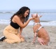 7 traits of people who prefer the company of dogs over humans according to psychologists