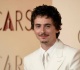 will timothee chalamet play harry osborn alongside tom holland in spider man trilogy