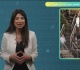 أستراليا رجل يقتحم عرض أزياء عن طريق الخطأ في سيدني