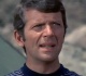 why brady bunch star robert reed refused to shoot a scene with strawberries