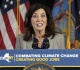 hochul finally admits economy killing climate law is toxic for ny she should end it