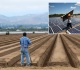 california s latest benefit to illegal immigrants free solar panels