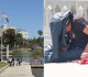 world cup watch party in macarthur park clean it up first